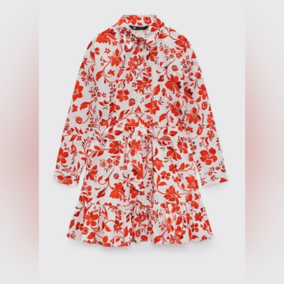Zara Printed Mini Dress - Picture 7 of 7